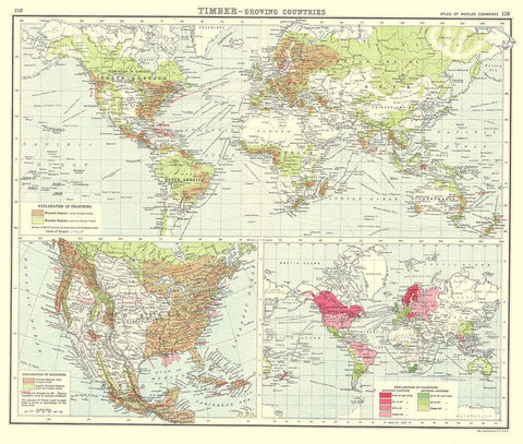 Global Timber Growing Countries - Bartholomew 1907 White Modern Wood Framed Art Print with Double Matting by Bartholomew