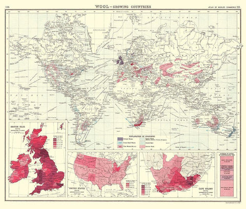 Global Wool Growing Countries - Bartholomew 1907 White Modern Wood Framed Art Print with Double Matting by Bartholomew