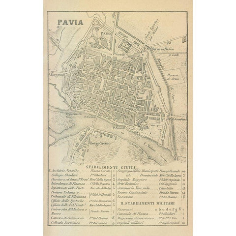 Pavia Italy - Castro 1870  Gold Ornate Wood Framed Art Print with Double Matting by Castro