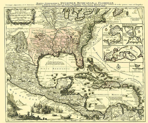 North America Region Mexico Florida United States Black Ornate Wood Framed Art Print with Double Matting by Vindel