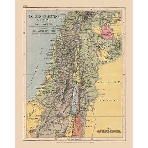 Middle East Physical Palestine Israel - Case 1878 Black Modern Wood Framed Art Print with Double Matting by Case