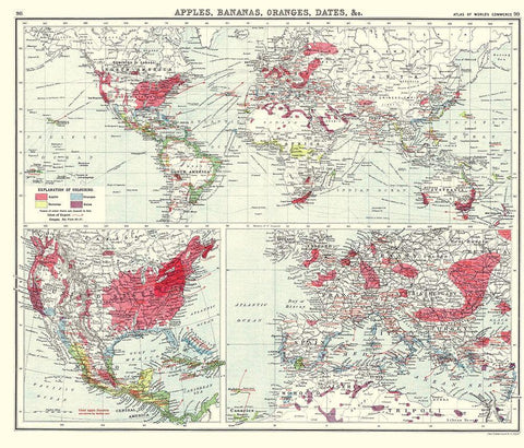 Apples Bananas Oranges Dates World - Newnes 1907 Black Ornate Wood Framed Art Print with Double Matting by Newnes