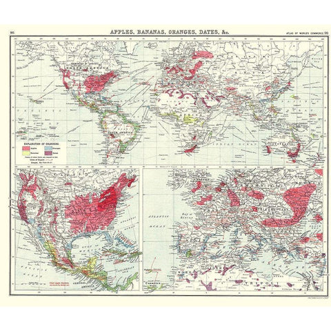 Apples Bananas Oranges Dates World - Newnes 1907 Black Modern Wood Framed Art Print by Newnes