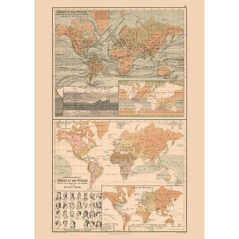 Ocean Currents Human Races World - Black 1867 White Modern Wood Framed Art Print by Black