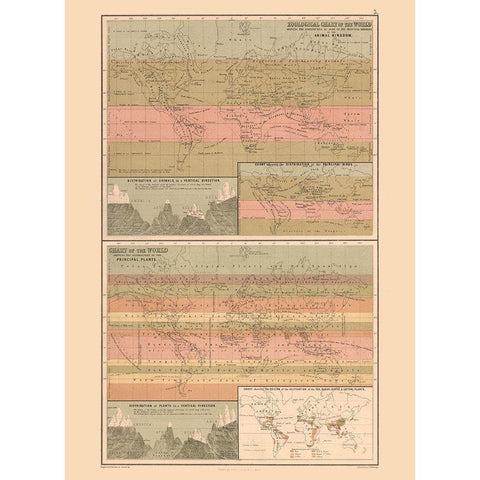 Zoological Chart World - Black 1867 Gold Ornate Wood Framed Art Print with Double Matting by Black