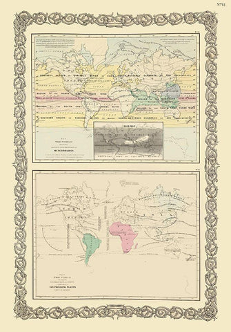 Meteorology Priniciple Plants Black Ornate Wood Framed Art Print with Double Matting by Unknown