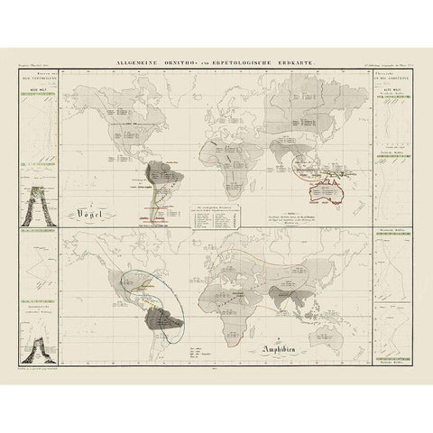 World Herpetological - 1845 Gold Ornate Wood Framed Art Print with Double Matting by Unknown