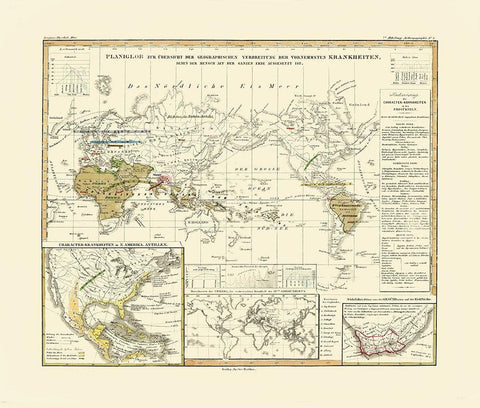 World Principal Diseases - Berghaus White Modern Wood Framed Art Print with Double Matting by Berghaus