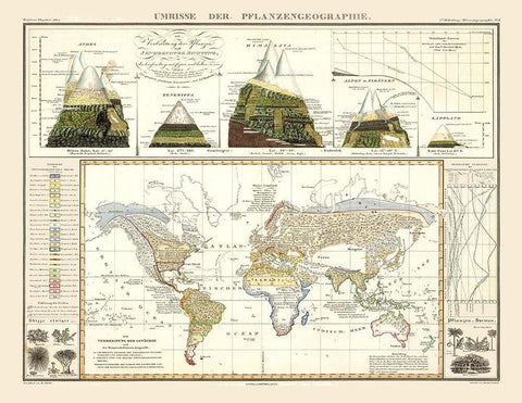 World Plant Geography - Perthes 1838 White Modern Wood Framed Art Print with Double Matting by Perthes