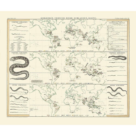 World Snakes - Berghaus Gold Ornate Wood Framed Art Print with Double Matting by Berghaus