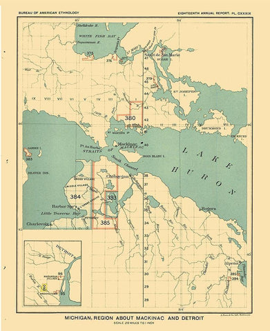 Michigan - Mackinac Detroit - Hoen 1896 Black Ornate Wood Framed Art Print with Double Matting by Hoen