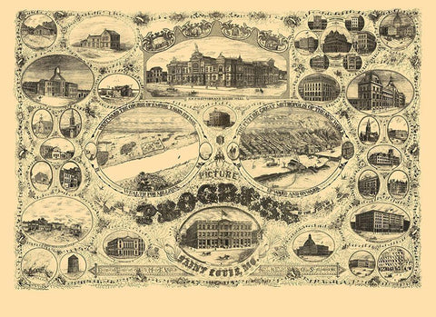 St Louis Missouri - Lawton 1884 Black Ornate Wood Framed Art Print with Double Matting by Lawton