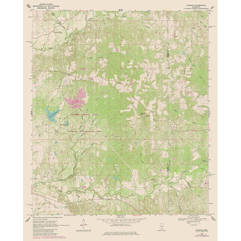 Pinebur Mississippi Quad - USGS 1969 Black Modern Wood Framed Art Print with Double Matting by USGS