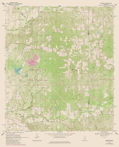 Pinebur Mississippi Quad - USGS 1969 White Modern Wood Framed Art Print with Double Matting by USGS