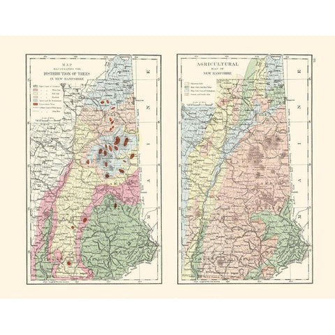 New Hampshire Agricultural - Hitchcock 1877 Black Modern Wood Framed Art Print by Hitchcock