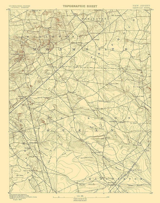 Image Only