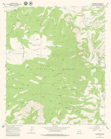 Glenwood New Mexico Quad - USGS 1965 White Modern Wood Framed Art Print with Double Matting by USGS