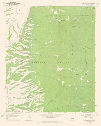 Holt Mountain New Mexico Quad - USGS 1965 White Modern Wood Framed Art Print with Double Matting by USGS