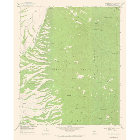 Holt Mountain New Mexico Quad - USGS 1965 Gold Ornate Wood Framed Art Print with Double Matting by USGS