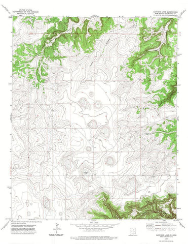 Llonidas Lake New Mexico Quad - USGS 1972 Black Ornate Wood Framed Art Print with Double Matting by USGS