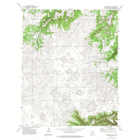 Llonidas Lake New Mexico Quad - USGS 1972 Gold Ornate Wood Framed Art Print with Double Matting by USGS