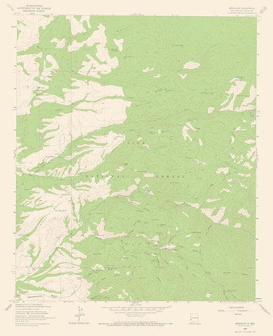 Mogollon New Mexico Quad - USGS 1963 Black Ornate Wood Framed Art Print with Double Matting by USGS