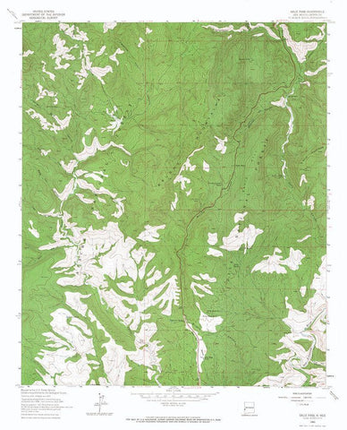 Salize Pass New Mexico Quad - USGS 1963 Black Ornate Wood Framed Art Print with Double Matting by USGS