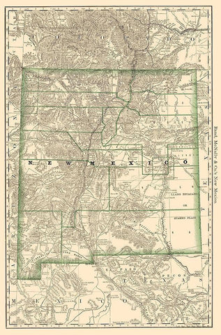 New Mexico - Rand McNally 1879 Black Ornate Wood Framed Art Print with Double Matting by Rand McNally
