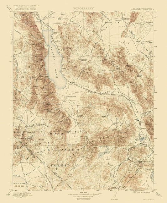 Image Only