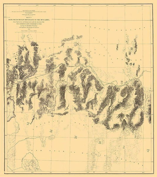 Image Only