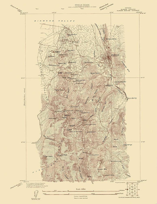 Image Only