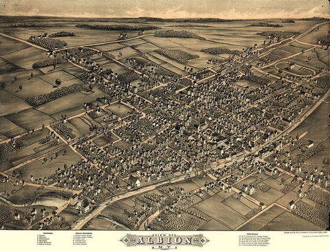 Albion New York - Rowley 1880  Black Ornate Wood Framed Art Print with Double Matting by Rowley