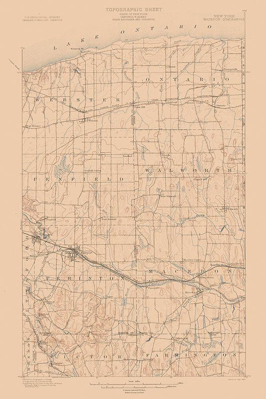 Image Only