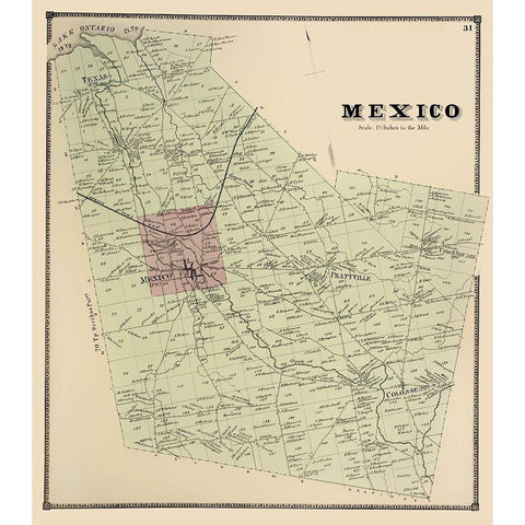 Mexico New York Landowner - Stone 1866 Gold Ornate Wood Framed Art Print with Double Matting by Stone