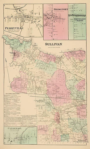 Sullivan New York Landowner - Whitman 1875 Black Ornate Wood Framed Art Print with Double Matting by Whitman