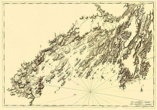 Image Only