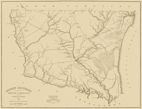 Horry South Carolina Landowner - Mills 1825 Black Ornate Wood Framed Art Print with Double Matting by Mills
