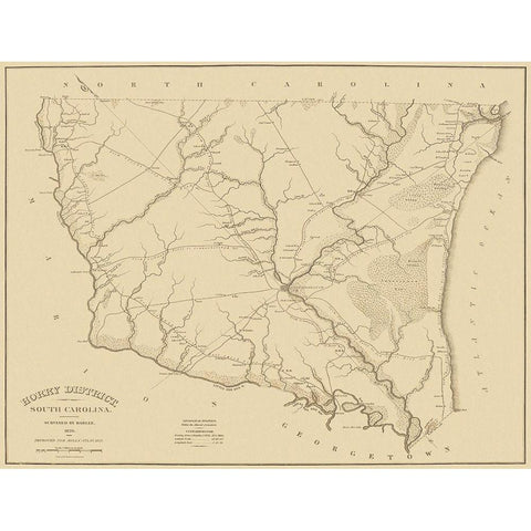 Horry South Carolina Landowner - Mills 1825 White Modern Wood Framed Art Print by Mills