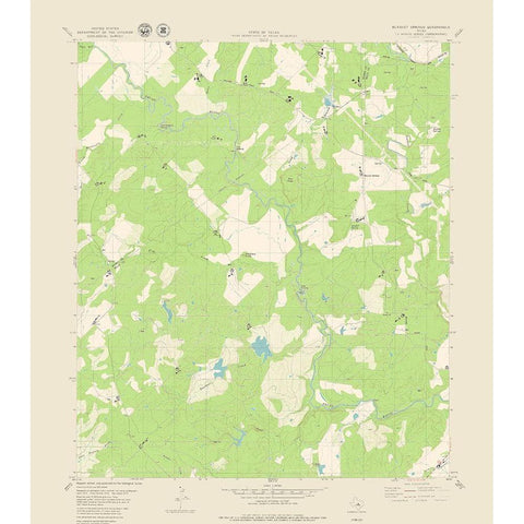 Blanket Springs Texas Quad - USGS 1979 White Modern Wood Framed Art Print by USGS