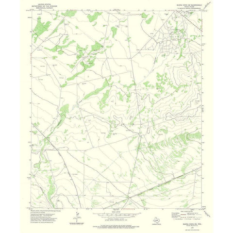 South West Buena Vista Texas Quad - USGS 1972 Gold Ornate Wood Framed Art Print with Double Matting by USGS