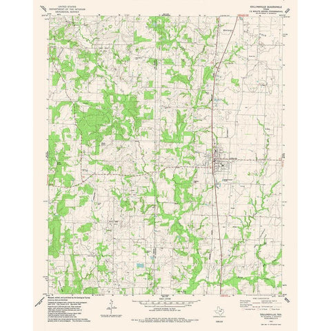 Collinsville Texas Quad - USGS 1982 Gold Ornate Wood Framed Art Print with Double Matting by USGS