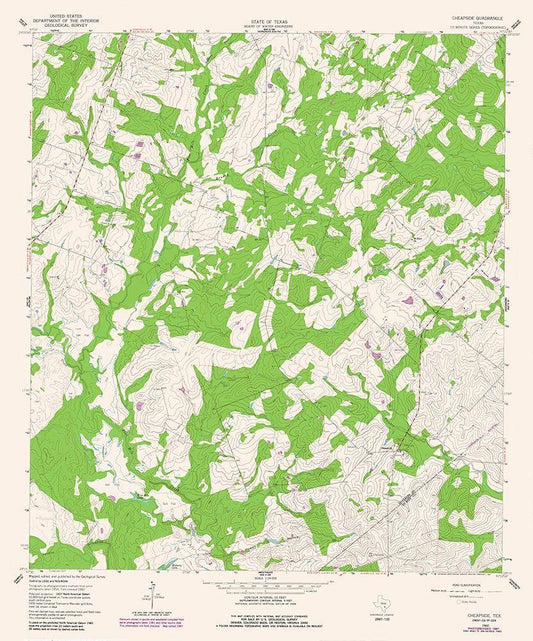 Image Only