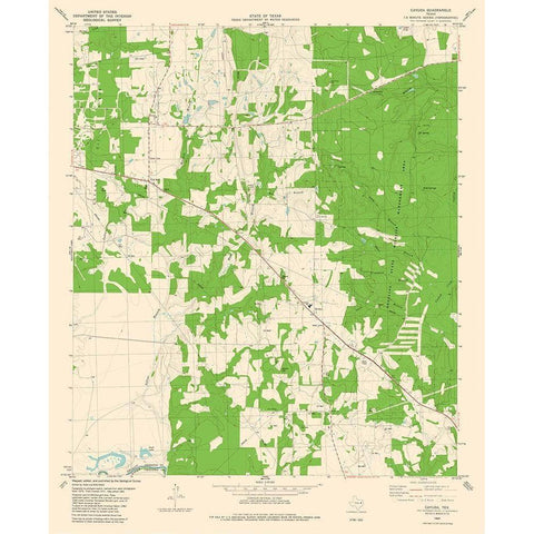 Cayuga Texas Quad - USGS 1982 Black Modern Wood Framed Art Print with Double Matting by USGS