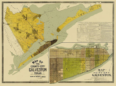 Galveston Texas Landowner - 1890 Black Ornate Wood Framed Art Print with Double Matting by Unknown