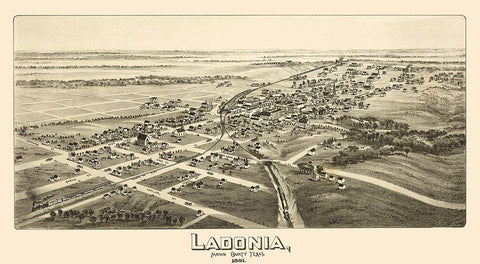 Ladonia Texas - Fowler 1891 Black Ornate Wood Framed Art Print with Double Matting by Fowler