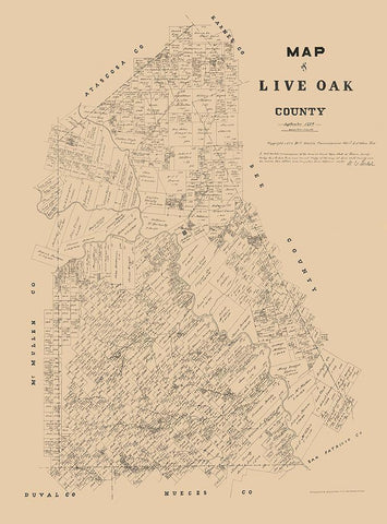 Live Oak County Texas - Walsh 1879  Black Ornate Wood Framed Art Print with Double Matting by Walsh
