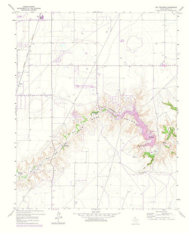 Palisades Texas Quad - USGS 1975 Black Ornate Wood Framed Art Print with Double Matting by USGS