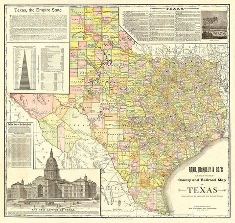 Texas Counties and Railroads - Rand McNally 1891 Black Ornate Wood Framed Art Print with Double Matting by Rand McNally