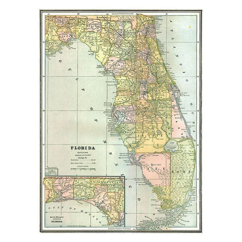 Florida - Johnson 1888 Black Modern Wood Framed Art Print with Double Matting by Johnson