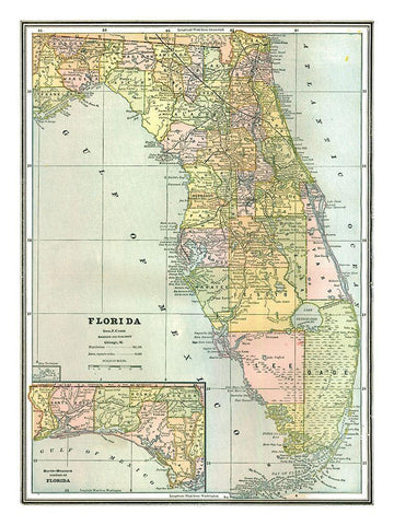 Florida - Johnson 1888 White Modern Wood Framed Art Print with Double Matting by Johnson